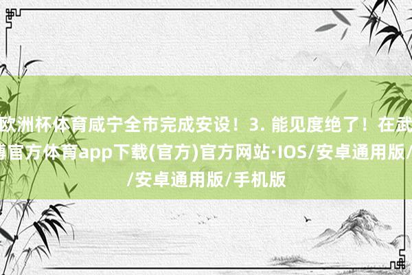 欧洲杯体育咸宁全市完成安设！3. 能见度绝了！在武汉-世博官方体育app下载(官方)官方网站·IOS/安卓通用版/手机版