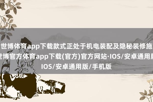 世博体育app下载款式正处于机电装配及隐秘装修施工阶段-世博官方体育app下载(官方)官方网站·IOS/安卓通用版/手机版