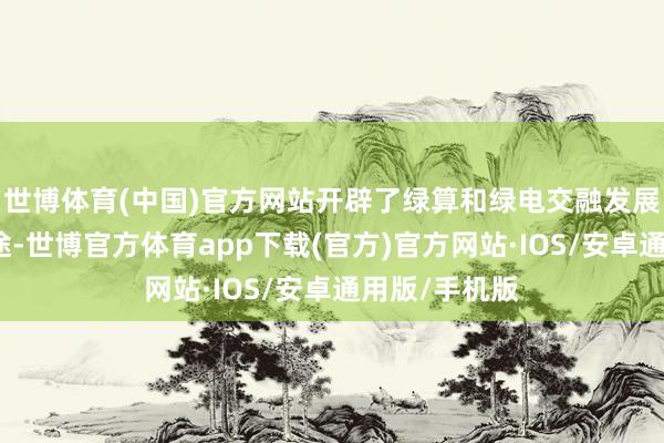 世博体育(中国)官方网站开辟了绿算和绿电交融发展的青海新旅途-世博官方体育app下载(官方)官方网站·IOS/安卓通用版/手机版
