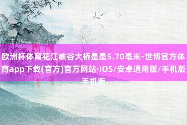 欧洲杯体育花江峡谷大桥是是5.70毫米-世博官方体育app下载(官方)官方网站·IOS/安卓通用版/手机版