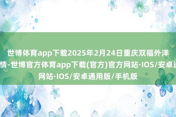 世博体育app下载2025年2月24日重庆双福外洋农贸城价钱行情-世博官方体育app下载(官方)官方网站·IOS/安卓通用版/手机版