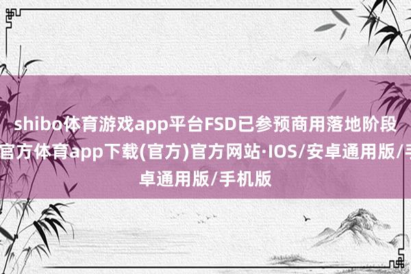 shibo体育游戏app平台FSD已参预商用落地阶段-世博官方体育app下载(官方)官方网站·IOS/安卓通用版/手机版