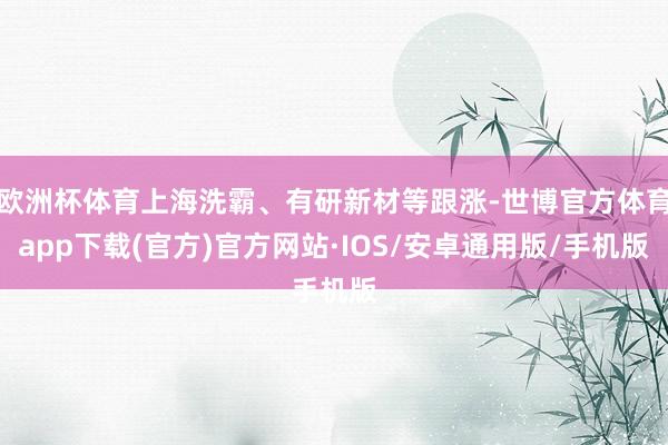 欧洲杯体育上海洗霸、有研新材等跟涨-世博官方体育app下载(官方)官方网站·IOS/安卓通用版/手机版