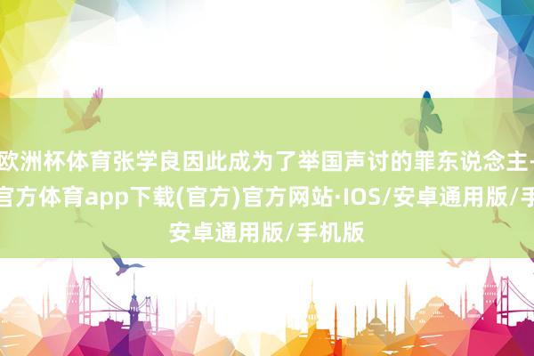 欧洲杯体育张学良因此成为了举国声讨的罪东说念主-世博官方体育app下载(官方)官方网站·IOS/安卓通用版/手机版