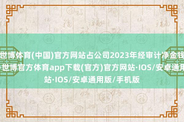 世博体育(中国)官方网站占公司2023年经审计净金钱的10.27%-世博官方体育app下载(官方)官方网站·IOS/安卓通用版/手机版