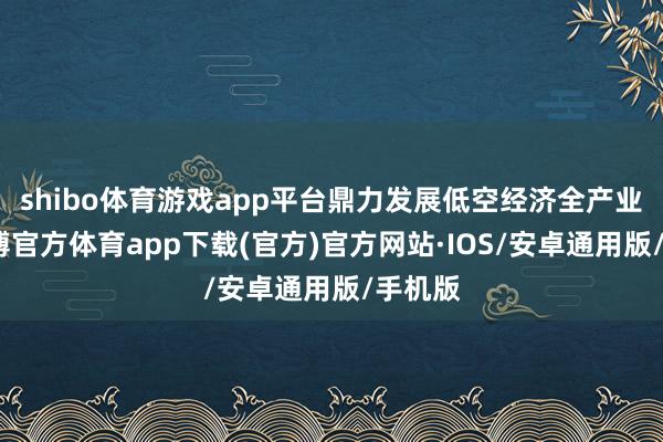 shibo体育游戏app平台鼎力发展低空经济全产业链-世博官方体育app下载(官方)官方网站·IOS/安卓通用版/手机版