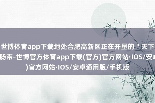 世博体育app下载地处合肥高新区正在开垦的＂天下量子中心＂中心肠带-世博官方体育app下载(官方)官方网站·IOS/安卓通用版/手机版
