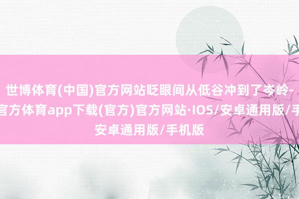 世博体育(中国)官方网站眨眼间从低谷冲到了岑岭-世博官方体育app下载(官方)官方网站·IOS/安卓通用版/手机版