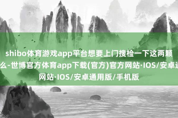 shibo体育游戏app平台想要上门搜检一下这两颗石头到底是什么-世博官方体育app下载(官方)官方网站·IOS/安卓通用版/手机版