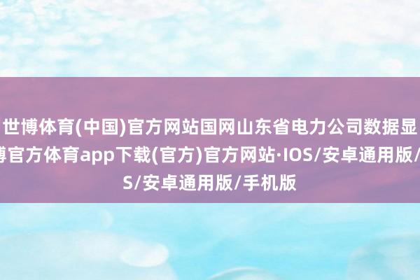 世博体育(中国)官方网站国网山东省电力公司数据显露-世博官方体育app下载(官方)官方网站·IOS/安卓通用版/手机版