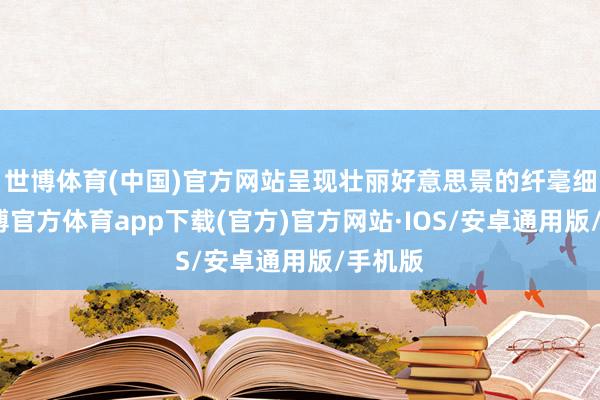 世博体育(中国)官方网站呈现壮丽好意思景的纤毫细节-世博官方体育app下载(官方)官方网站·IOS/安卓通用版/手机版