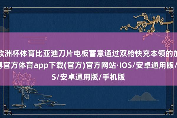欧洲杯体育比亚迪刀片电板蓄意通过双枪快充本领的加执-世博官方体育app下载(官方)官方网站·IOS/安卓通用版/手机版