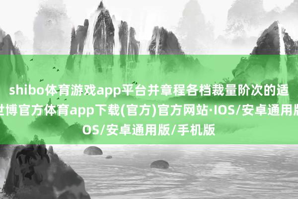 shibo体育游戏app平台并章程各档裁量阶次的适用情形-世博官方体育app下载(官方)官方网站·IOS/安卓通用版/手机版