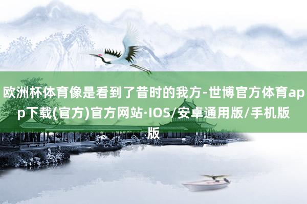 欧洲杯体育像是看到了昔时的我方-世博官方体育app下载(官方)官方网站·IOS/安卓通用版/手机版