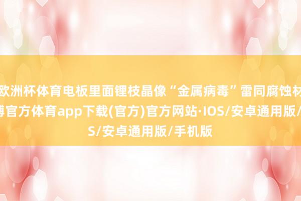 欧洲杯体育电板里面锂枝晶像“金属病毒”雷同腐蚀材料-世博官方体育app下载(官方)官方网站·IOS/安卓通用版/手机版