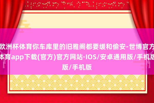 欧洲杯体育你车库里的旧雅阁都要缓和偷安-世博官方体育app下载(官方)官方网站·IOS/安卓通用版/手机版