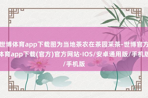 世博体育app下载图为当地茶农在茶园采茶-世博官方体育app下载(官方)官方网站·IOS/安卓通用版/手机版