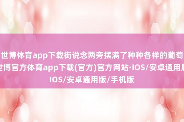 世博体育app下载街说念两旁摆满了种种各样的葡萄酒摊位-世博官方体育app下载(官方)官方网站·IOS/安卓通用版/手机版