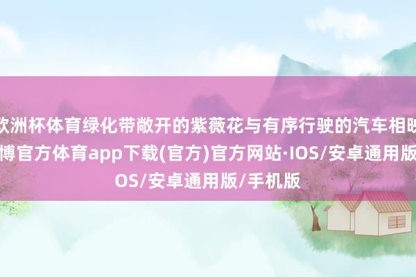 欧洲杯体育绿化带敞开的紫薇花与有序行驶的汽车相映澄净-世博官方体育app下载(官方)官方网站·IOS/安卓通用版/手机版