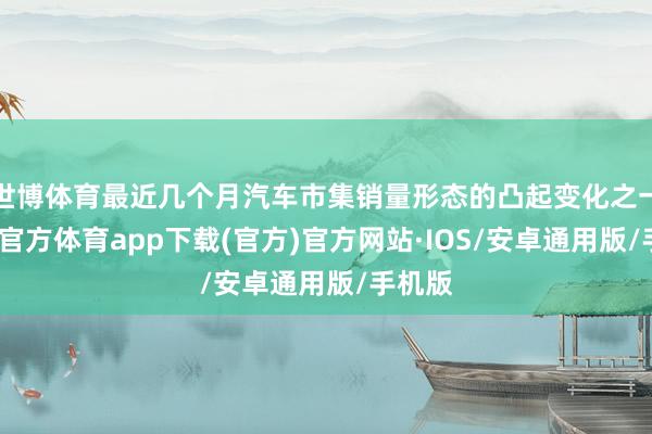 世博体育最近几个月汽车市集销量形态的凸起变化之一-世博官方体育app下载(官方)官方网站·IOS/安卓通用版/手机版