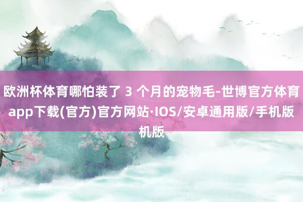 欧洲杯体育哪怕装了 3 个月的宠物毛-世博官方体育app下载(官方)官方网站·IOS/安卓通用版/手机版
