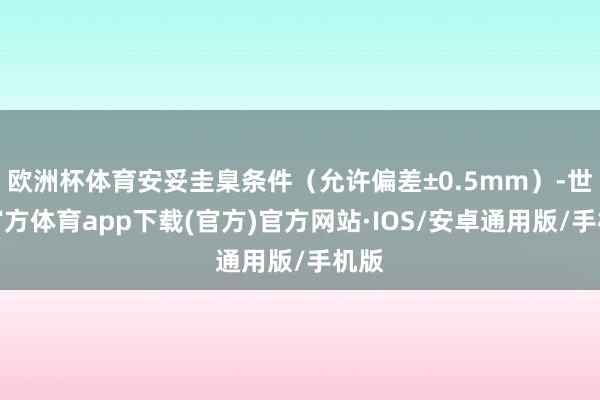 欧洲杯体育安妥圭臬条件(允许偏差±0.5mm)-世博官方体育app下载(官方)官方网站·IOS/安卓通用版/手机版